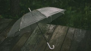 Những xúc cảm từ cơn mưa Đà Lạt qua lăng kính kẻ cô đơn