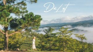 Những hình ảnh Đà Lạt rất tình trong đôi mắt kẻ phiêu du