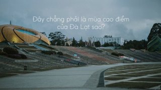 Cảnh Đà Lạt như quay về thập niên 60s của thế kỉ trước