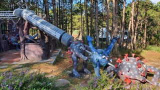 Đà Lạt nơi có những bức tượng Covid-19 bị 'nhổ tận gốc' dễ thương hết nấc