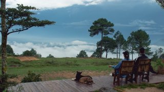 5 quán cafe 'săn mây' gần trung tâm Đà Lạt vừa đẹp vừa dễ đi