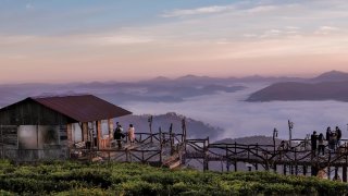 Những cây cầu nổi tiếng tại Đà Lạt chỉ cần đứng vào là có ảnh đẹp