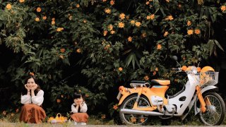 4 điều tuyệt vời khi đến với Đà Lạt vào các mùa trong năm