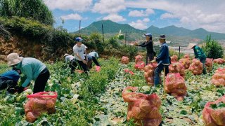 Lâm Đồng sẽ hỗ trợ TPHCM 5000 tấn nông sản trong 25 ngày