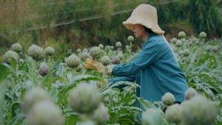 Cô gái xinh đẹp bỏ phố về quê "trồng rau nuôi cá" chỉ vì quá mê Đà Lạt