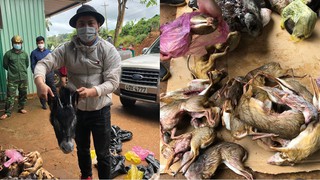 Lâm Đồng: Bắt 'lâm tặc' nuôi nhốt trái phép, chất kín x.á.c thú rừng trong 3 tủ cấp đông