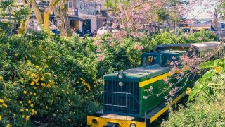 Lộ diện đường tàu độc nhất vô nhị giữa lòng Đà Lạt nhưng hiếm ai hay