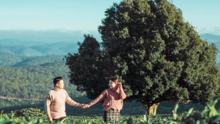 Bật mí tọa độ cây chè đại thụ được giới trẻ 'săn đón' rầm rộ