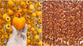 Thưởng thức món hồng treo gió để cảm nhận vị ngọt ngào nơi phố núi