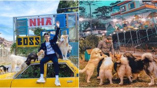 5 quán cafe Đà Lạt sinh ra dành cho dân cuồng thú cưng