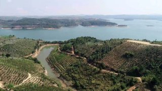 Lâm Đồng: Để mất 257 ha đất rừng, chủ dự án 25.000 tỉ dùng dằng bồi thường