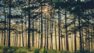 Trốn deadline tìm đến 9 ngọn đồi Đà Lạt view đẹp, thơ mộng nhất