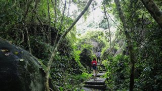 Dạo bước tại rừng Madagui - Khu du lịch sinh thái sát vách Đà Lạt