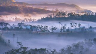 Khám phá Vườn Quốc Gia Bidoup Núi Bà tại cao nguyên Lâm Viên