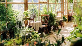 5 quán cà phê xanh mát cho một ngày đến Đà Lạt