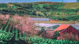 Lưu liền tay những địa điểm du lịch Cầu Đất nổi tiếng