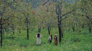 Hành trình khởi nghiệp lắm nước mắt của 9x ở Đà Lạt và "chiếc bánh chưng" của cha