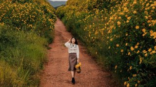 Đà Lạt đẹp đến mơ màng những ngày cuối năm