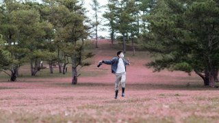 Mách bạn kinh nghiệm du lịch Đà Lạt tháng 12