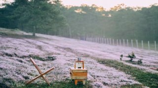 5 lý do bạn 'Không nên' du hí Đà Lạt tháng 12 này