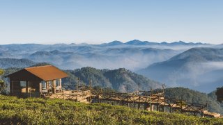 Say đắm nét đẹp của Đà Lạt qua từng gam màu