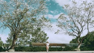 Nhiều tín đồ Đà Lạt chuẩn bị xách vali đi 'săn' hoa ban trắng dịp cuối năm