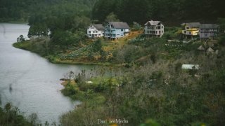 Ngẩn ngơ trước bộ ảnh Đà Lạt thơ mộng những ngày cuối đông