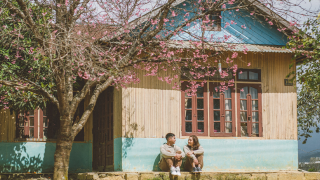 5 lý do nên đến Đà Lạt tháng 1