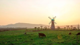 4 trang trại, khu vườn được nhiều du khách ghé thăm nhất tại Đà Lạt