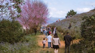 Số ca пһiễm Covid-19 giảm dù du khách đến Đà Lạt tăng cao