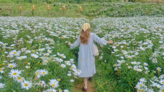 Những địa điểm thưởng hoa đẹp tại Đà Lạt