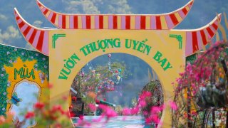 Vườn thượng uyển bay Đà Lạt - Khu vườn sắc màu giữa đồi thông bao la