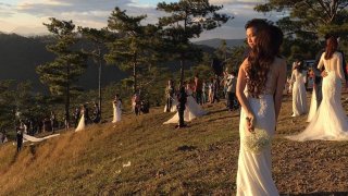 Khám phá đồi 'dâu rể' - nơi hàng trăm cặp uyên ương chen chân mỗi sáng