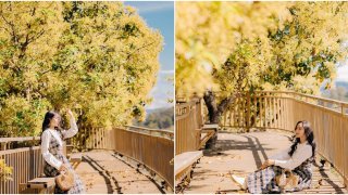 Mùa hoa bơ nở tại Mộc Trà farm đẹp như thước phim Hàn Quốc