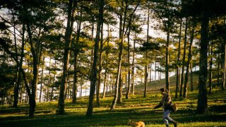Rừng thông Đà Lạt - chốn yên bình của những 'kẻ mộng mơ'