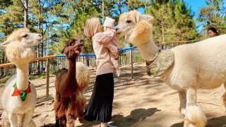 Lạc lối tại Zoodoo - Sở thú đầu tiên mang phong cách Úc ở Đà Lạt