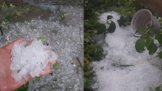 Đà Lạt đón cơn mưa đá gây thiệt hại nhiều diện tích rau hoa, người nông dân 'khóc ròng'