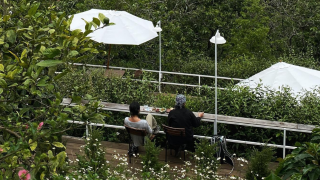 Đà Lạt, đi đâu để tìm bình yên?