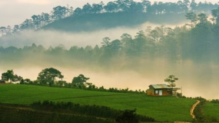 Trại Mát Đà Lạt vẹn nguyên ký ức về một thời đã xa