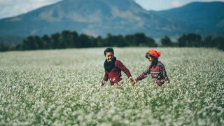 Bắt trend với loạt địa điểm check-in mới ở Đà Lạt 2022 độc, lạ, đẹp!