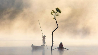 Mê mẩn nét sương mai huyền ảo tại hồ Tuyền Lâm