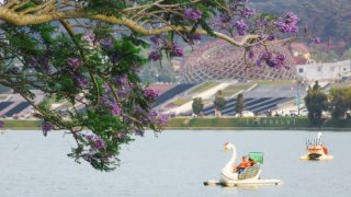 Check-in 7 quán cà phê gần hồ Xuân Hương Đà Lạt có view cực chất