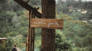 Khám phá những quán cafe rừng thông Đà Lạt view đẹp cực chill