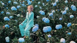 Bí kíp check-in những vườn hoa cẩm tú cầu đẹp nhất Đà Lạt