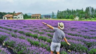 Lạc vào mê cung các vườn hoa đẹp ở Đà Lạt, thơ mộng tựa tiên cảnh