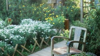 Chiêm ngưỡng 10 quán cafe nổi tiếng Đà Lạt đẹp mê mẩn, đã đến là không muốn về