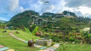 Review Khu du lịch Chuồn Chuồn Đà Lạt, góc sống ảo đa tầng mới nổi xứ sương mù