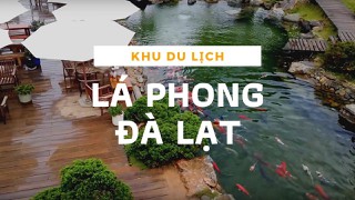 Khám phá khu du lịch Lá Phong Kokoro - Nhật Bản thu nhỏ giữa lòng thành phố Đà Lạt