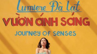 Khám phá thiên đường sống ảo - Vườn ánh sáng Lumiere Đà Lạt có gì hấp dẫn?