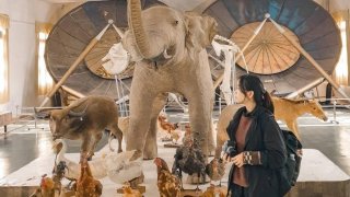  Phân Viện Sinh Học Đà Lạt - Bảo Tàng Sống Giữa lòng rừng xanh